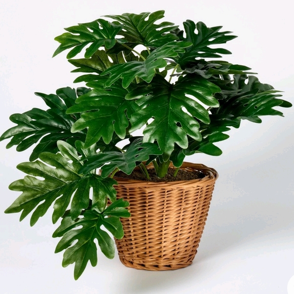Studio McGee NWT Faux Philodendron Decorative Plant in Wicker Basket 18"H - Picture 1 of 6
